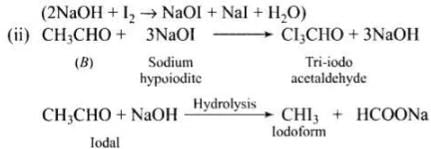 NCERT Exemplar: Aldehydes, Ketones & Carboxylic Acids | Chemistry Class 12 - NEET