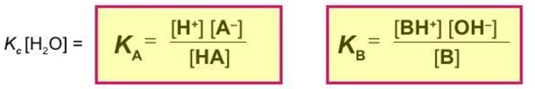 Acids, Bases & Salts | Chemistry Class 11 - NEET
