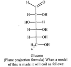 Carbohydrates: Monosaccharides, Disaccharides & Polysaccharides | Chemistry Class 12 - NEET