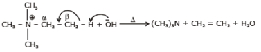 Alkenes: Nomenclature, Properties & Preparation | Chemistry Class 11 - NEET