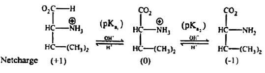Solved Subjective Problems : Biomolecules & Polymers | Organic Chemistry for NEET
