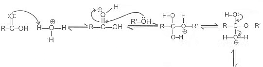 Carboxylic Acids: Physical & Chemical Properties | Chemistry for JEE Main & Advanced