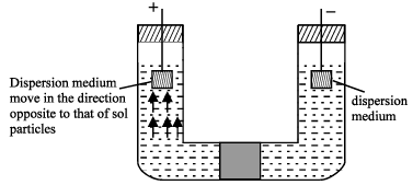 Properties of Colloidal Solutions | Additional Study Material for JEE