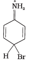 NCERT Exemplar: Amines | Chemistry Class 12 - NEET