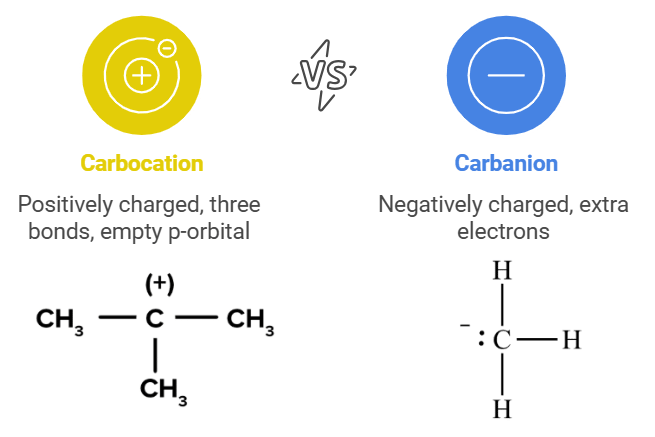 Mnemonics: Organic Chemistry : Some Basic Principles & Techniques | Chemistry Class 11 - NEET