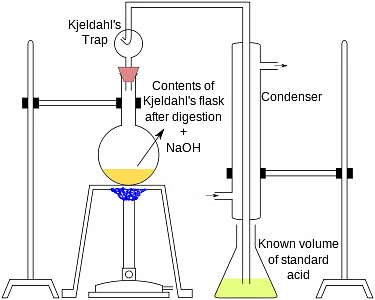 NCERT Solutions Class 11 Chemistry Chapter 8 - Organic Chemistry - Some Basic Principles & Techniques