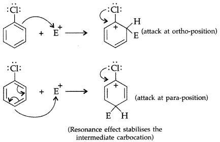 Worksheet With Solutions: Haloalkanes and Haloarenes | Chemistry Class 12 - NEET