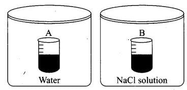 NCERT Exemplar: Solutions | Chemistry Class 12 - NEET