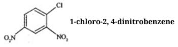 NCERT Exemplar: Some Basic Principles & Techniques | Chemistry Class 11 - NEET