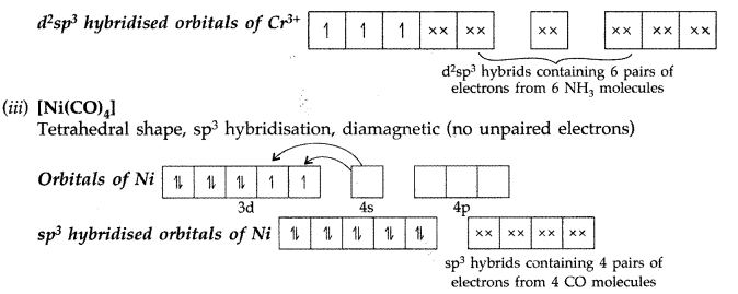 Worksheet with Solutions: Coordination Compounds | Chemistry Class 12 - NEET
