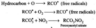 NCERT Exemplar: Environmental Chemistry (Old NCERT) | Chemistry for JEE Main & Advanced