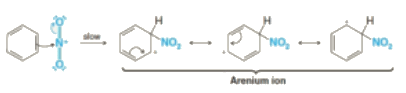 Nitration, Sulphonation and Halogenation | Chemistry for JEE Main & Advanced