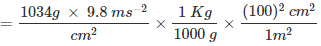 NCERT Solutions Class 11 Chemistry - Basic Concepts of Chemistry