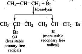 NCERT Exemplar: Hydrocarbons | Chemistry Class 11 - NEET