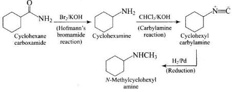 NCERT Exemplar: Amines | Chemistry Class 12 - NEET