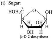 NCERT Exemplar: Biomolecules | Chemistry Class 12 - NEET