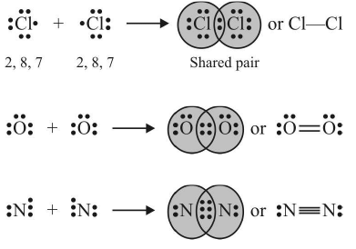 Types of Chemical Bonds | Physical Chemistry for NEET