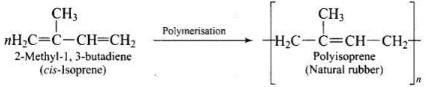 NCERT Exemplar: Polymers (Old NCERT) | Chemistry for JEE Main & Advanced