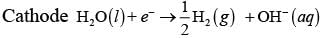NCERT Exemplar: Electrochemistry | Chemistry Class 12 - NEET