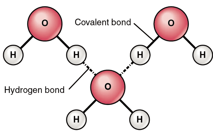 Mnemonics: Chemical Bonding and Molecular Structure | Chemistry Class 11 - NEET