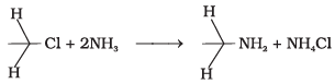 NCERT Exemplar: Amines | Chemistry Class 12 - NEET