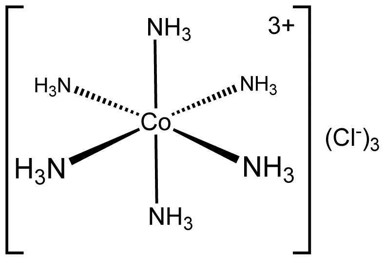 Werner’s Theory & Some Basic Concepts of Coordination Compounds | Chemistry Class 12 - NEET