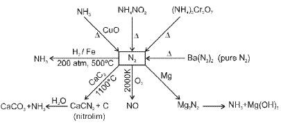 Important p-Block Elements & Their Compounds Formulas for JEE and NEET