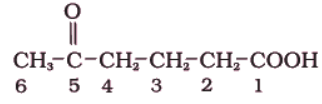 Nomenclature of Organic Compounds having Functional Groups | Chemistry Class 11 - NEET