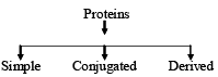 Overview of Polymers: Addition & Polymerization | Chemistry for JEE Main & Advanced