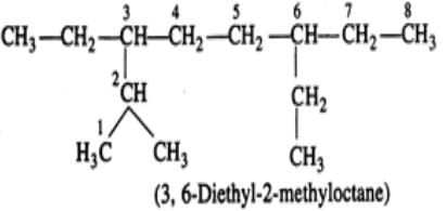 Short & Long Answer Questions: Hydrocarbons | Organic Chemistry for NEET
