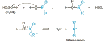 Nitration, Sulphonation and Halogenation | Chemistry for JEE Main & Advanced