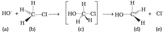 NCERT Exemplar: Haloalkanes and Haloarenes | Chemistry for JEE Main & Advanced