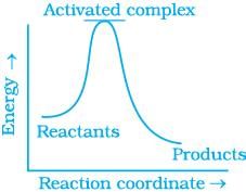 NCERT Exemplar: Chemical Kinetics | Chemistry Class 12 - NEET