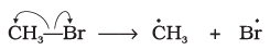 NCERT Exemplar: Some Basic Principles & Techniques | Chemistry Class 11 - NEET