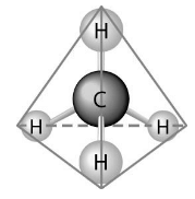 Group-14 Elements: Carbon Family | Chemistry Class 12 - NEET