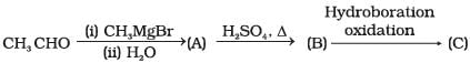 NCERT Exemplar: Aldehydes, Ketones & Carboxylic Acids | Chemistry Class 12 - NEET