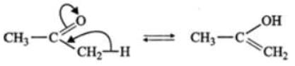 Short & Long Answer Question - Class 11