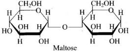 NCERT Exemplar: Biomolecules | Chemistry Class 12 - NEET