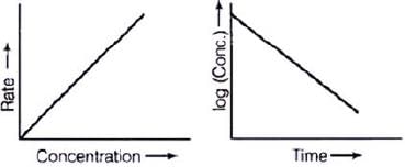NCERT Exemplar: Chemical Kinetics | Chemistry Class 12 - NEET