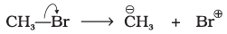 NCERT Exemplar: Some Basic Principles & Techniques | Chemistry Class 11 - NEET