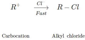 Morrison & Boyd Test: Alcohols, Phenols & Ethers | Chemistry Class 12 - NEET