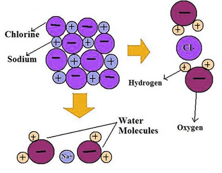 Indicators, Acids, Bases & Salts | Chemistry Class 11 - NEET
