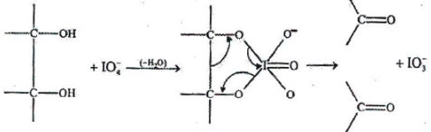 Carbohydrates: Monosaccharides, Disaccharides & Polysaccharides | Chemistry Class 12 - NEET