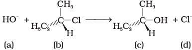 NCERT Exemplar: Haloalkanes and Haloarenes | Chemistry for JEE Main & Advanced