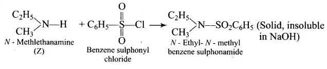 NCERT Exemplar: Amines | Chemistry Class 12 - NEET