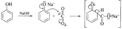 NCERT Exemplar: Alcohols, Phenols & Ethers | Chemistry Class 12 - NEET