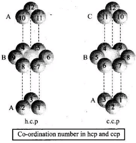 NCERT Exemplar: Solid State (Old NCERT) | Chemistry for Grade 12