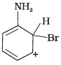 NCERT Exemplar: Amines | Chemistry Class 12 - NEET