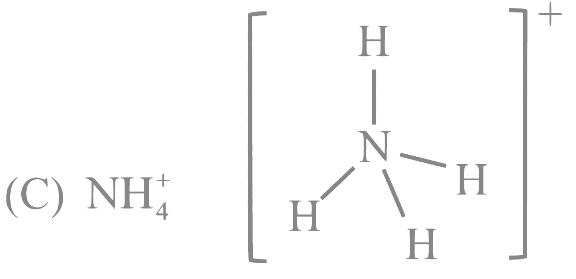 JEE Main Previous Year Questions (2023): Chemical Bonding & Molecular Structure