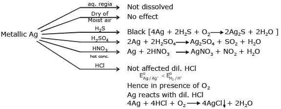 Some Important Compounds of Transition Elements | Chemistry Class 12 - NEET